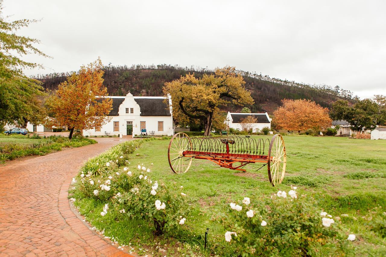 Basse Provence Country House Panzió Franschhoek Kültér fotó