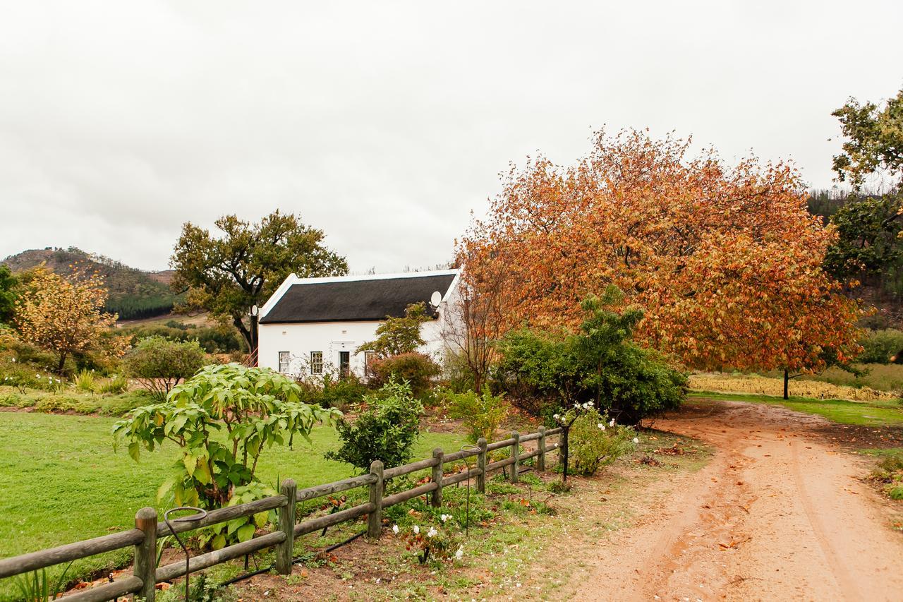 Basse Provence Country House Panzió Franschhoek Kültér fotó