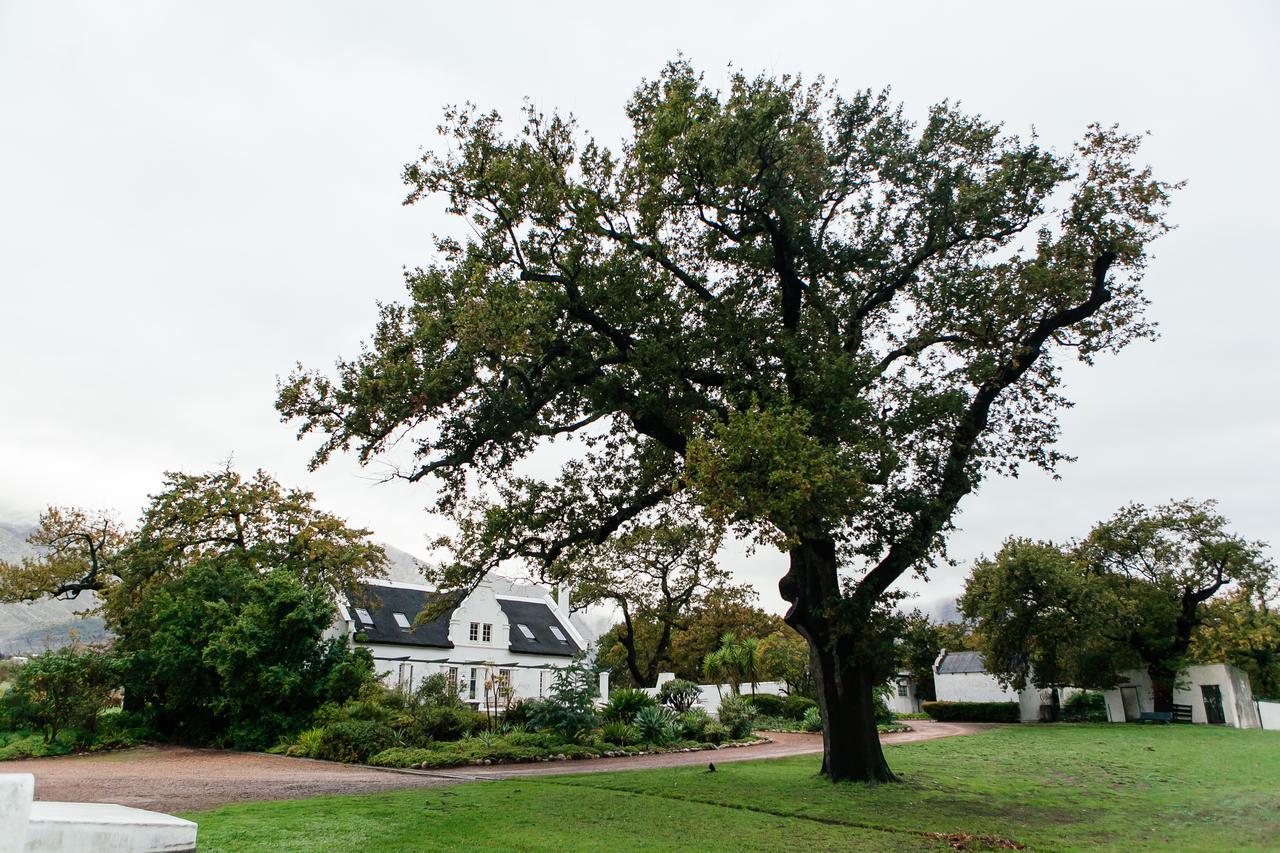 Basse Provence Country House Panzió Franschhoek Kültér fotó