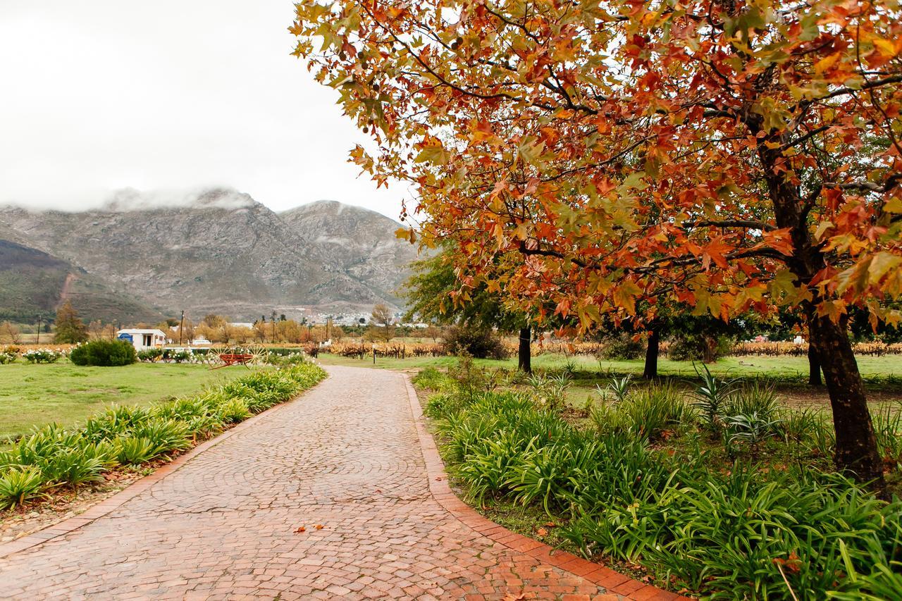 Basse Provence Country House Panzió Franschhoek Kültér fotó