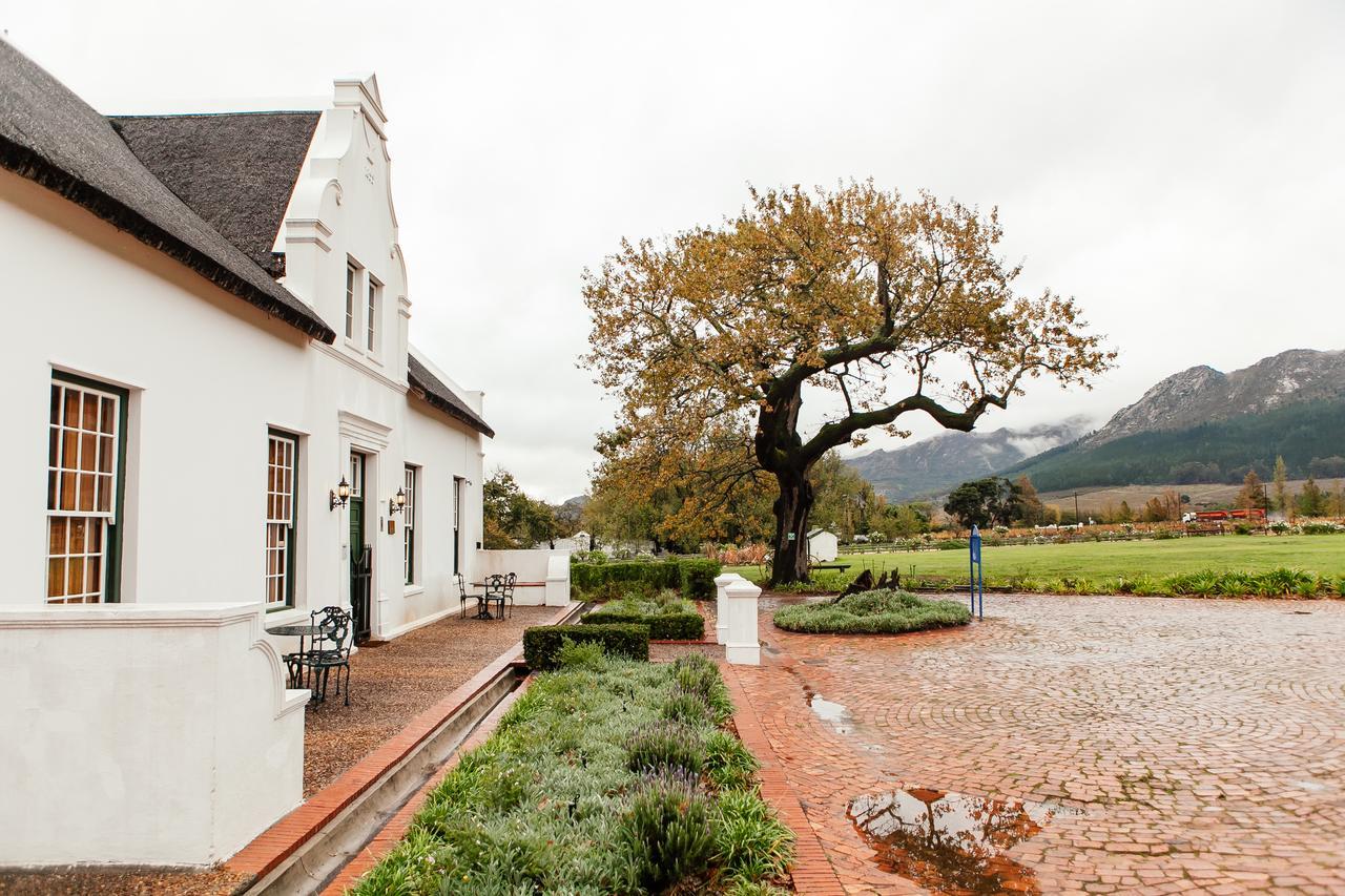 Basse Provence Country House Panzió Franschhoek Kültér fotó